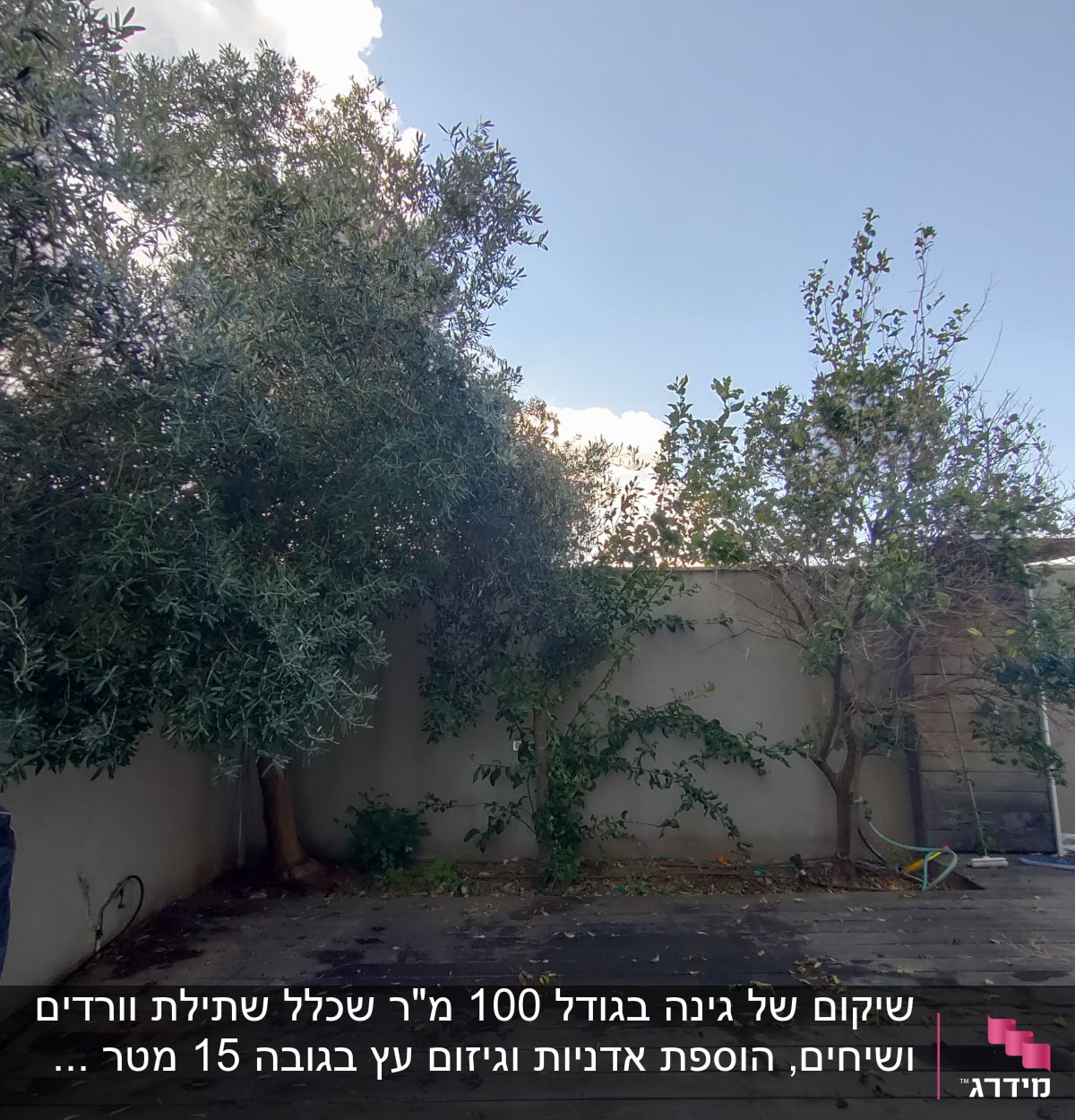 עצים וצינור השקיה בגינה על דק עץ